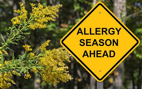 Spring has Sprung: 4 HVAC Tips for Allergy Season – Keith Air Conditioning