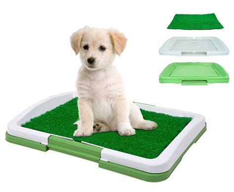 Puppy Potty Pad – BestBeirut.com