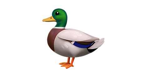 🦆 Duck Emoji — Dictionary of Emoji, Copy & Paste