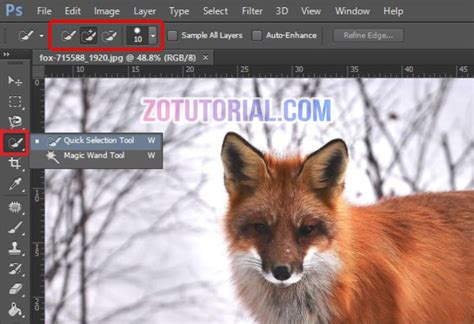 Tutorial Seleksi dan Crop Objek di Photoshop Cepat dan Praktis | Quick Selection - zotutorial