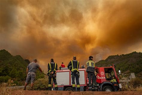 Spain battles ‘out of control’ wildfire on Tenerife | Wildlife News | Al Jazeera