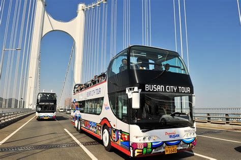 Full-Day Ticket For Busan City Tour Bus: Triphobo