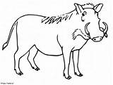 Free Printable Warthog coloring Page sketch template