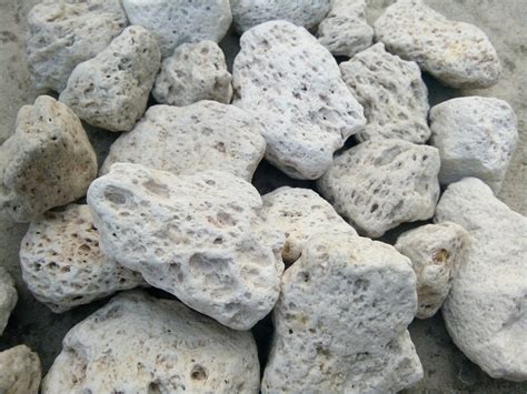 Natural Pumice Stone at Rs 120/kilogram | प्यूमिस स्टोन, प्यूमिक स्टोन्स, कुस्र्न पत्थर - Gargi ...