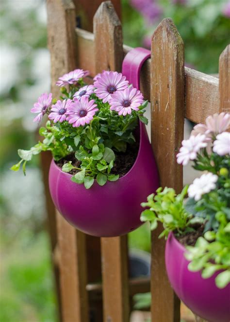 Great gardening ideas with wilko - Growing Family