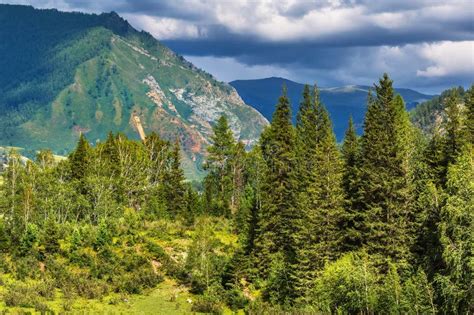 Altai Mountain Landscape with Taiga. Altai Republic, South Siberia, Russia Stock Photo - Image ...