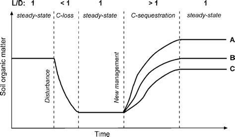 Conceptual model of soil organic matter decomposition/accumulation ...