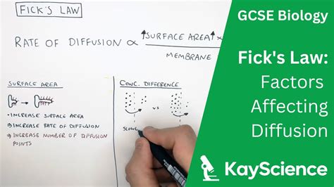 What Is Fick S Law Of Diffusion Equation - Printable Templates Free