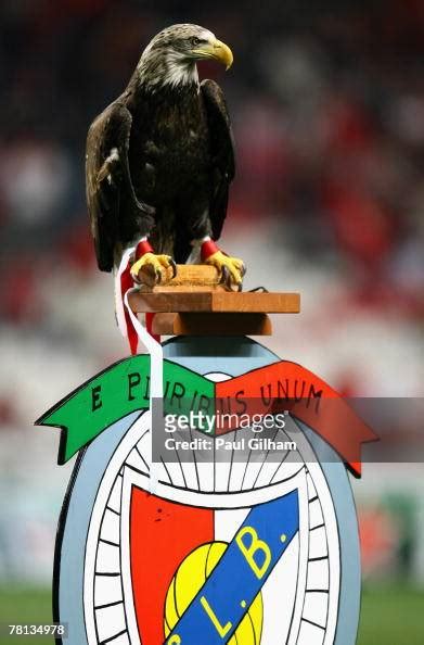 An eagle mascot for Benfica looks on prior to the kick off of the... News Photo - Getty Images