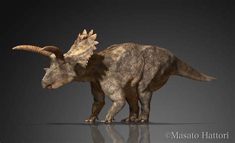 Anchiceratops | Animales de la prehistoria, Prehistórico, Animales prehistóricos