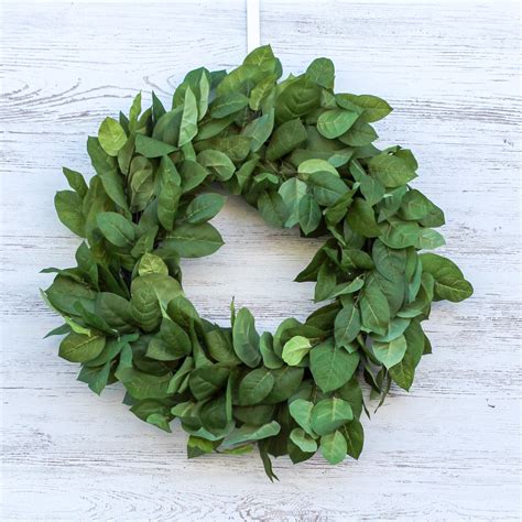 Salal Leaf Everyday Spring Summer Front Door Wreath 24" – Darby Creek Trading