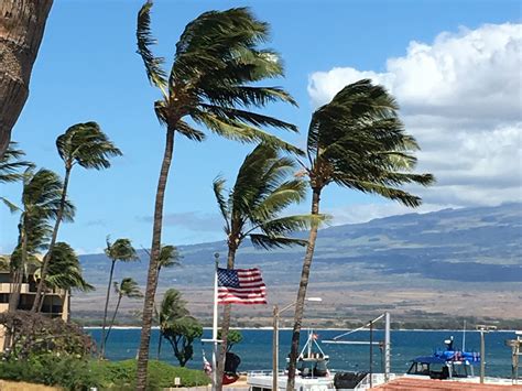 Ferienwohnung Maui Ocean Center: Hotels & mehr | FeWo-direkt