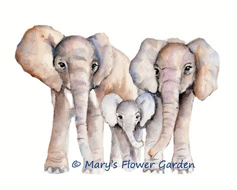 Elephant Family Drawing at GetDrawings | Free download