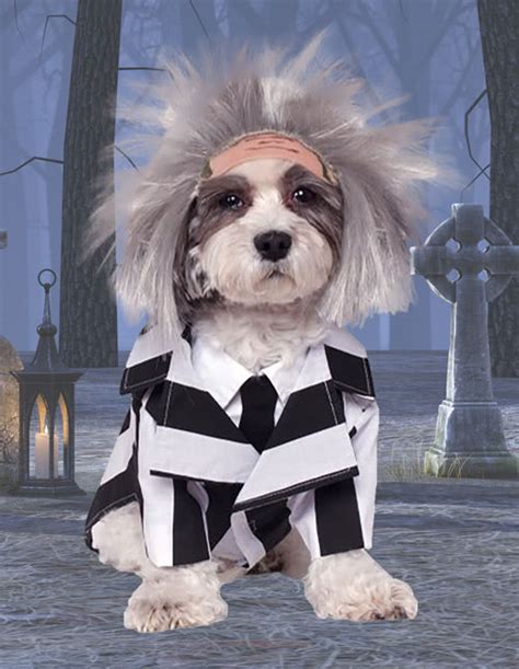 Beetlejuice Costumes - HalloweenCostumes.com