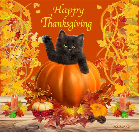 Happy Thanksgiving Kitty Digital Art by Glenn Holbrook - Pixels