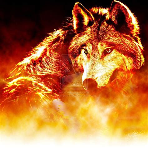 Cool Fire Wolf on Dog, fire and water wolf HD phone wallpaper | Pxfuel