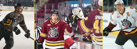 Chicago Wolves Hockey Tickets | Allstate Arena in Rosemont, Illinois