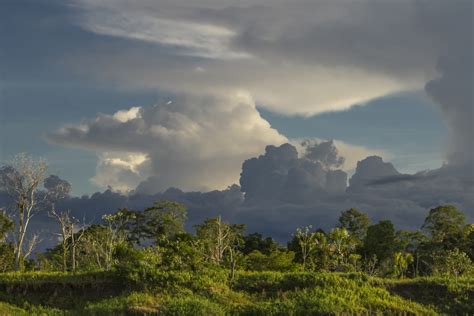 Treehouse Lodge - Amazon Jungle Iquitos: 3-6 Days – Peru – FlashpackerConnect Adventure Travel