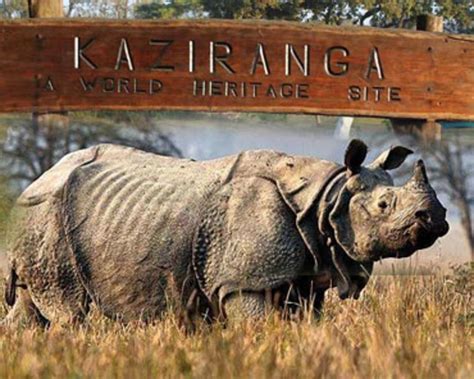 Indian Wildlife Award for Kaziranga National Park | Kaziranga National Park News | Kaziranga ...