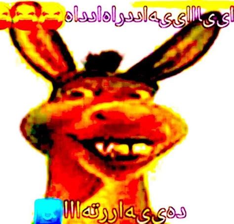 Deep Fried Memes | Stupid memes, Funny memes, Funny images