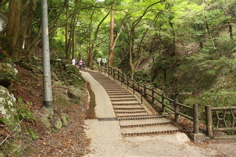 Yoro Falls - A Fountain of Youth Waterfall near Nagoya