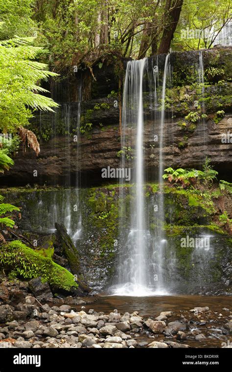 Russell Falls, Mount Field National Park, Tasmania, Australia Stock ...