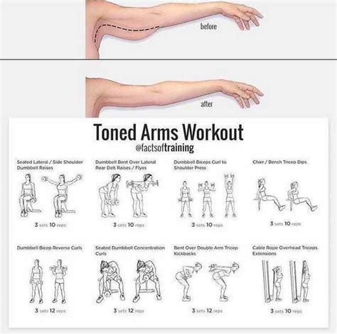 Arm workout plan | Fitness training plan, Tone arms workout, Arm workout