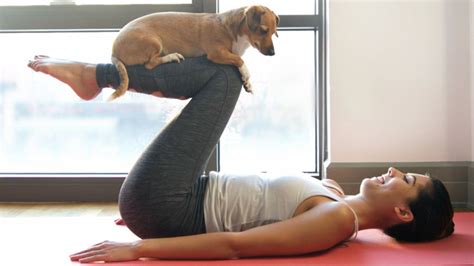 7 Ways to Exercise with Your Pet - Dot Com Women