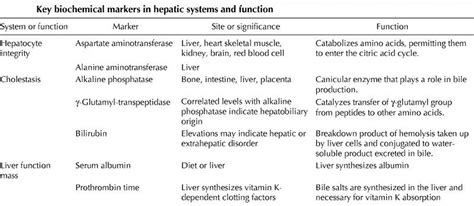 Liver Enzymes, Causes of Elevated or High Liver Enzymes