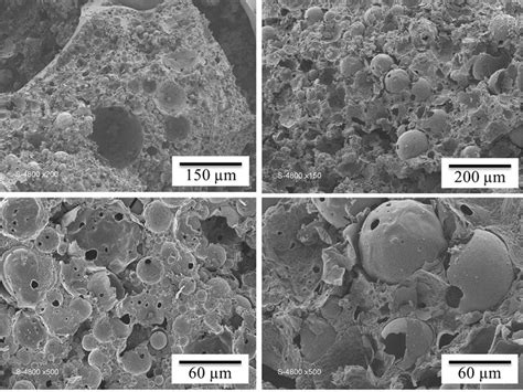 SEM images of a) sample A and b) sample C. | Download Scientific Diagram