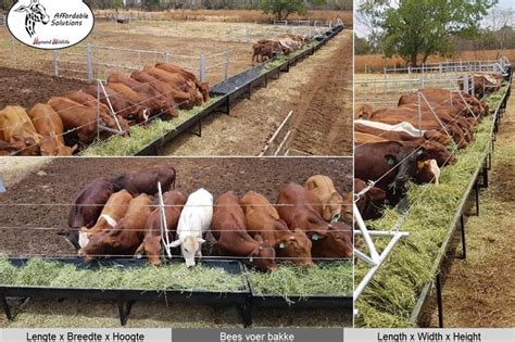 Cattle feeding troughs Feeding systems Livestock for sale in North West | R 1,600 on Agrimag