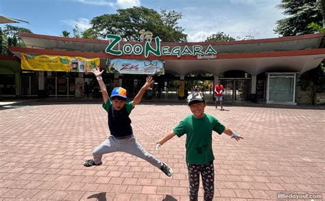 Zoo Negara: Visiting Malaysia’s Largest Zoo And Its Animals - Little Day Out