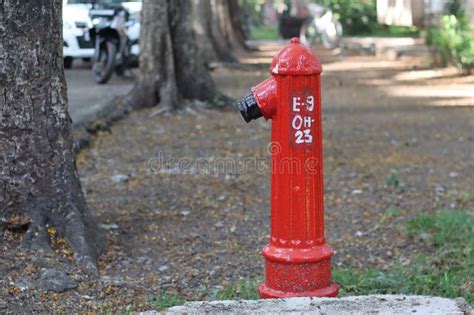 Fire Hydrant, Fireplug, or Firecock on a Street Side. it is a Connection Point by Which ...