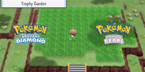 Pokemon Brilliant Diamond & Shining Pearl: All Pokemon in the Trophy Garden