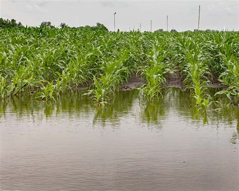 37+ Drainage System Agriculture Background - shuriken-mod