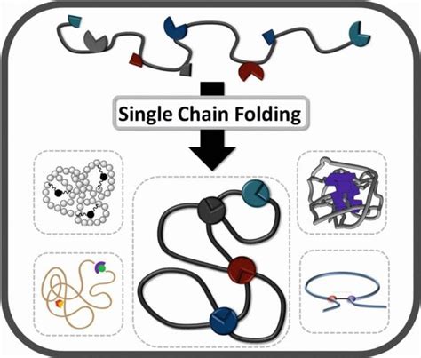 Single Polymer Chain Folding – A Review - Advanced Science News