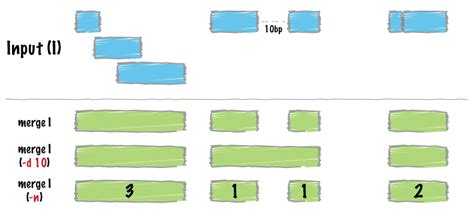 merge — bedtools 2.31.0 documentation