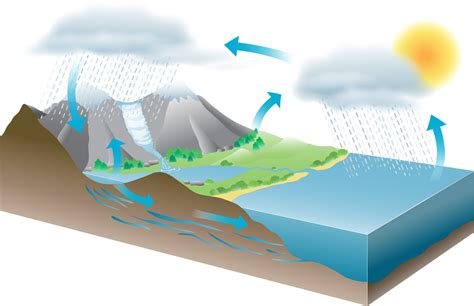 HYDROSPHERE! The Water Cycle Diagram | Quizlet