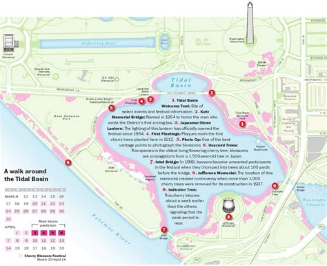 Download a map of the best cherry blossom locations | Washington dc ...