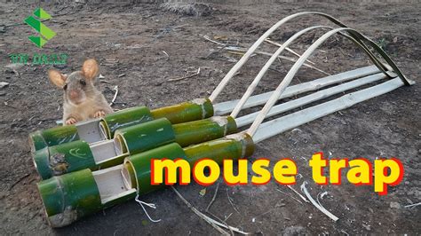 How To Make A Mouse/Rat Trap Using Bamboo Tube - YouTube