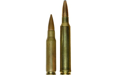 .300 Win. Mag. Vs. .308: Which Winchester Wins? - Gun And Survival