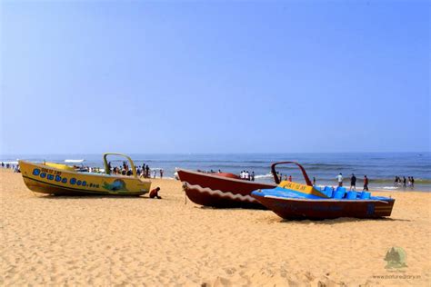 Calangute Beach, Goa : Know Everything Before You Go