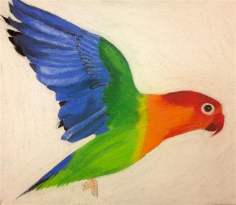 Rainbow Parrot by Falcofan100 on DeviantArt