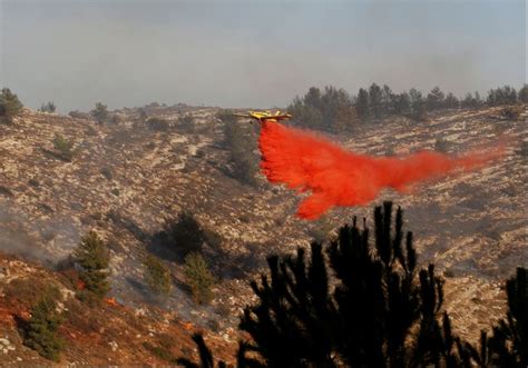 IN PICTURES: Fire ravages Israel - Israel News - The Jerusalem Post