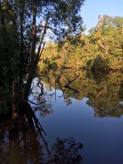 The Perdido River Paddle Trail - Purely Perdido