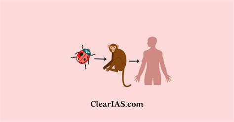 Kyasanur Forest Disease - ClearIAS