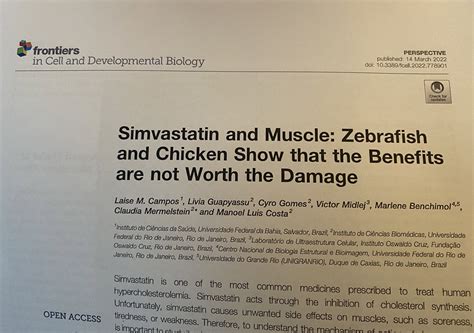 #apaperaday: Simvastatin and Muscle: Zebrafish and Chicken Show that the Benefits are not Worth ...