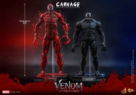 Venom: Let There Be Carnage - Carnage Figure by Hot Toys - The Toyark - News