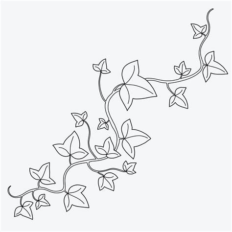 Floral ivy drawing decorative ornament flat design. 22933196 Vector Art at Vecteezy