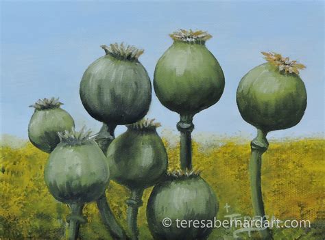 Poppy Pods - Teresa Bernard Oil Paintings